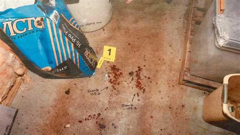 Murdaugh Murders: Crime Scene Photos Shown in。